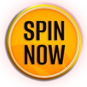 SPIN